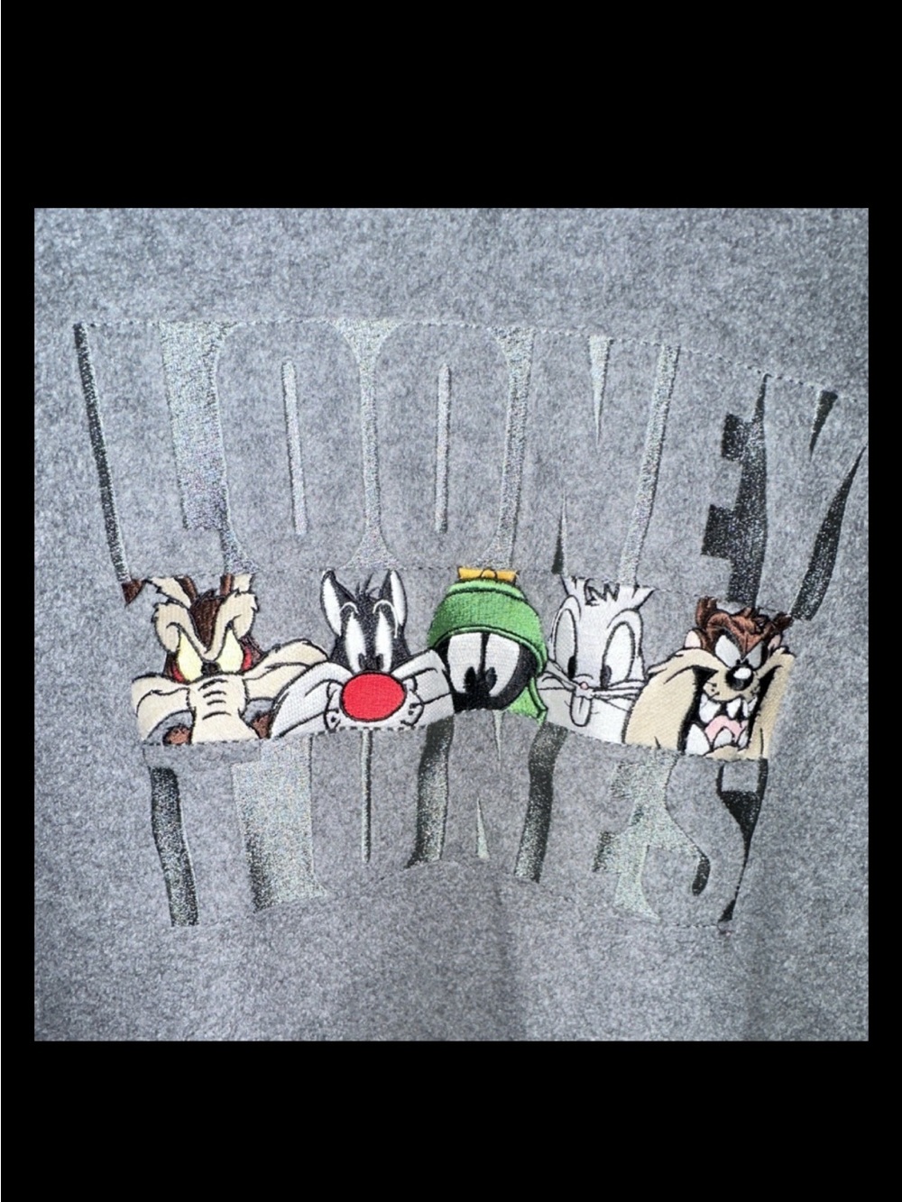 Warner Bros. Grey and White Branded Apparel Tag Close-Up